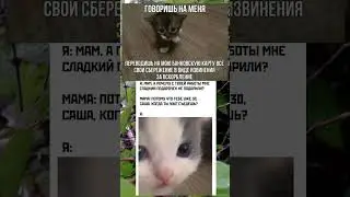 #мем #memes #мемы #мемчик