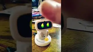 AIBI pet robot getting angry #aibi #aibirobot #airobot #petbot #petrobot #funny