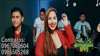 MIX PASEITOS Limber dvj..