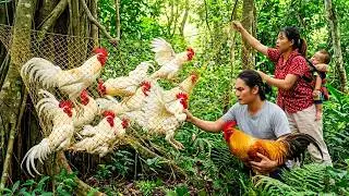 Catching Giant Wild Jungle Chickens with Handmade Nets | Peaceful Farm Life | SURVIVAL ALONE