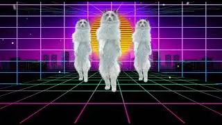 Break Out - The Official Cat Video - Jeffrey James & Dave Audé