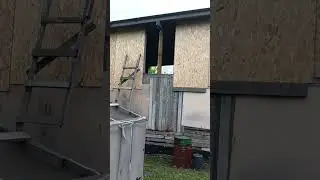 Коробка из ОСБ #shorts