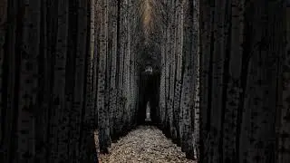 страшные истории Двухетажная кровать.