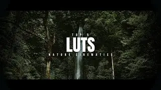 The 5 Best Cinematic LUTs 2023
