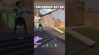сходил отжал ган 
