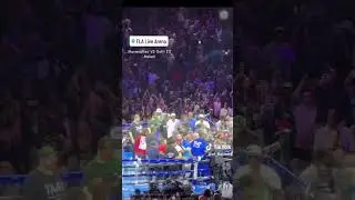 Gotti Vs Mayweather