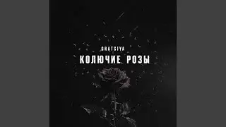 Колючие розы