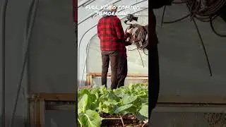 My full stock video process | Uploading stock video 2023