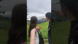 Cows are so friendly in Switzerland 🐄 