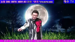 광수TV🌷사사메유끼 ( 細雪 ) cover by 최진출