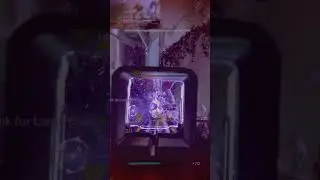 Warlock Void Soul Build with The Title #unexpected