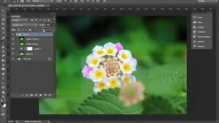 Adobe Photoshop CC FLower  Çalışması