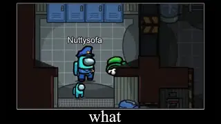 Among Us Wait What Meme