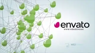 Social Network 6000569 - Project for After Effects (Videohive)