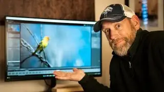Edit bird Photos. Lightroom. Simple easy-to-follow tips.