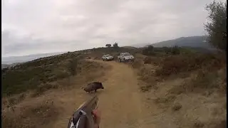 Heyecan veren domuz avlarimizdan  düzenlemeler wild boar hunting