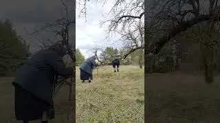 висит 