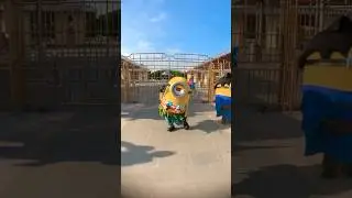 Let's dance together with minions #despicableme #minions #shorts #universalstudiosjapan