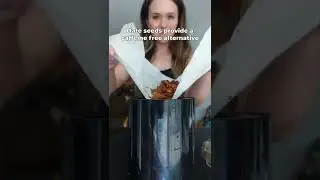 DATE SEED COFFEE 