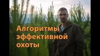 Восхождение к цели. Серия 6: алгоритм эффективной охоты