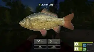Russian Fishing 4 Beginner's Guide to RF4 Level 1-5 gear, bait, locations, strategy