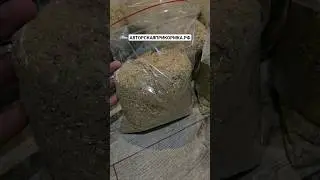 Вот от чего дуреет вся рыба! Секретная прикормка для рыбалки #рыбалка
