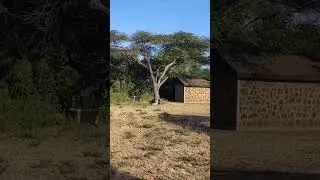 Chyulu Gate Campsite, Tsavo West National Park