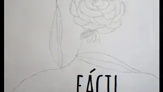►Rosa a lápiz super fácil de hacer◄ | TIPS