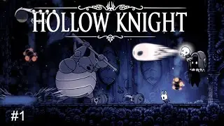The Beginning of a New Game (Hollow Knight #1)