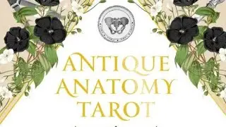 The Antique Anatomy Tarot Review