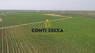 Conti Zecca | Video per Home page sito