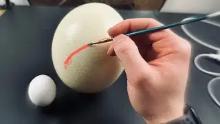 Customizing the World's LARGEST Egg