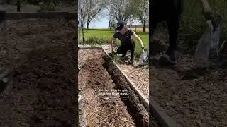 Start a homestead in 2023! 