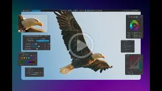 The Noise Reduction with DxO PhotoLab 9