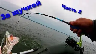 За щучкой Часть 2