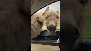 у вас тоже такие сотрудники )