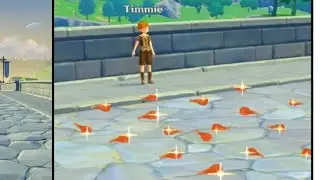 sorry Timmie [genshin impact]