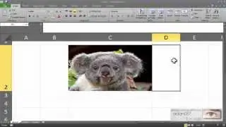 Excel insert image in cell