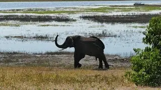 Caprivi