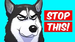 10 Things You Must Stop Doing To Your Dog