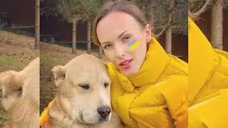 Щенки Выросли Под Взрывы Русских Бомб/Война в Украине