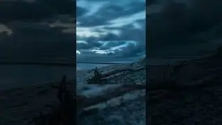 Im Auge des Sturms Pt 2.