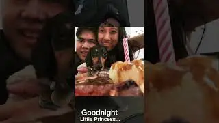 Goodnight Little Princess (Tickle’s Lullaby)