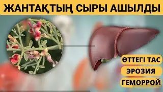 Сіз білмеген ЖАНТАҚ өсімдігінің ЕМДІК қасиеті.