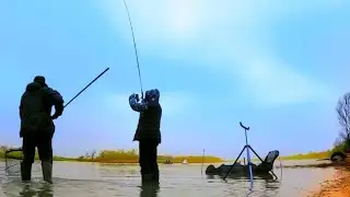 ОТЛИЧНОЕ закрытие СЕЗОНА ФИДЕРНОЙ РЫБАЛКИ на РЕКЕ в НОЯБРЕ!!!
