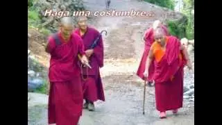 El perdón a uno mismo 