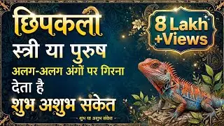 छिपकली||  स्त्री, पुरुष|| के किन-किन अंगों|| पर गिरने का || शुभ अशुभ फल ||  बारोलिया