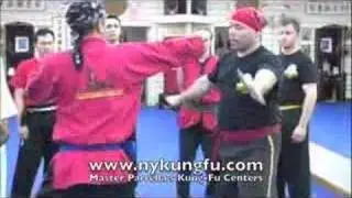 Choy Lay Fut Project: Fan Fighting #2