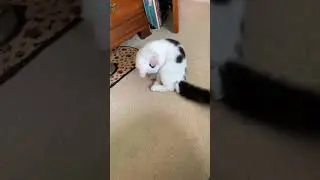 Zero gets into a sticky situation