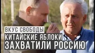 Как отечественные яблоки подвели Россию